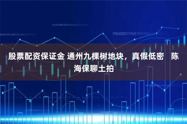 股票配资保证金 通州九棵树地块,真假低密 陈海保聊土拍