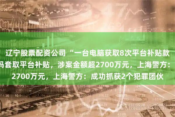 辽宁股票配资公司 “一台电脑获取8次平台补贴款”，有人篡改商品SN码套取平台补贴，涉案金额超2700万元，上海警方：成功抓获2个犯罪团伙